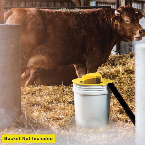 Flip N Slide Bucket Lid Trap