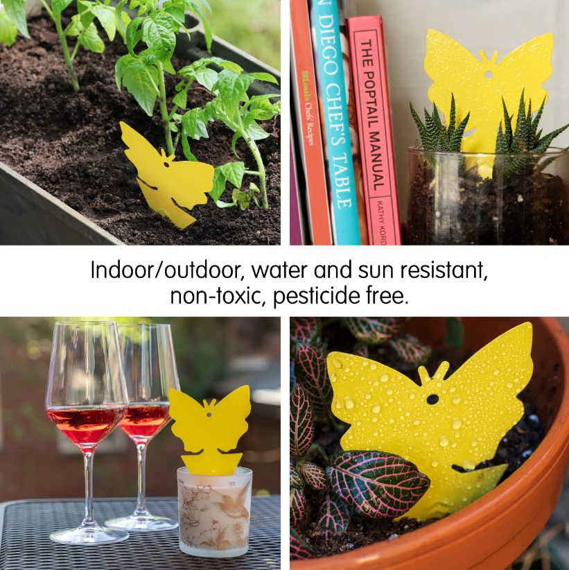 Yellow Dual-Sided Sticky Traps