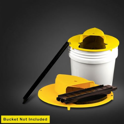 Flip N Slide Bucket Lid Trap
