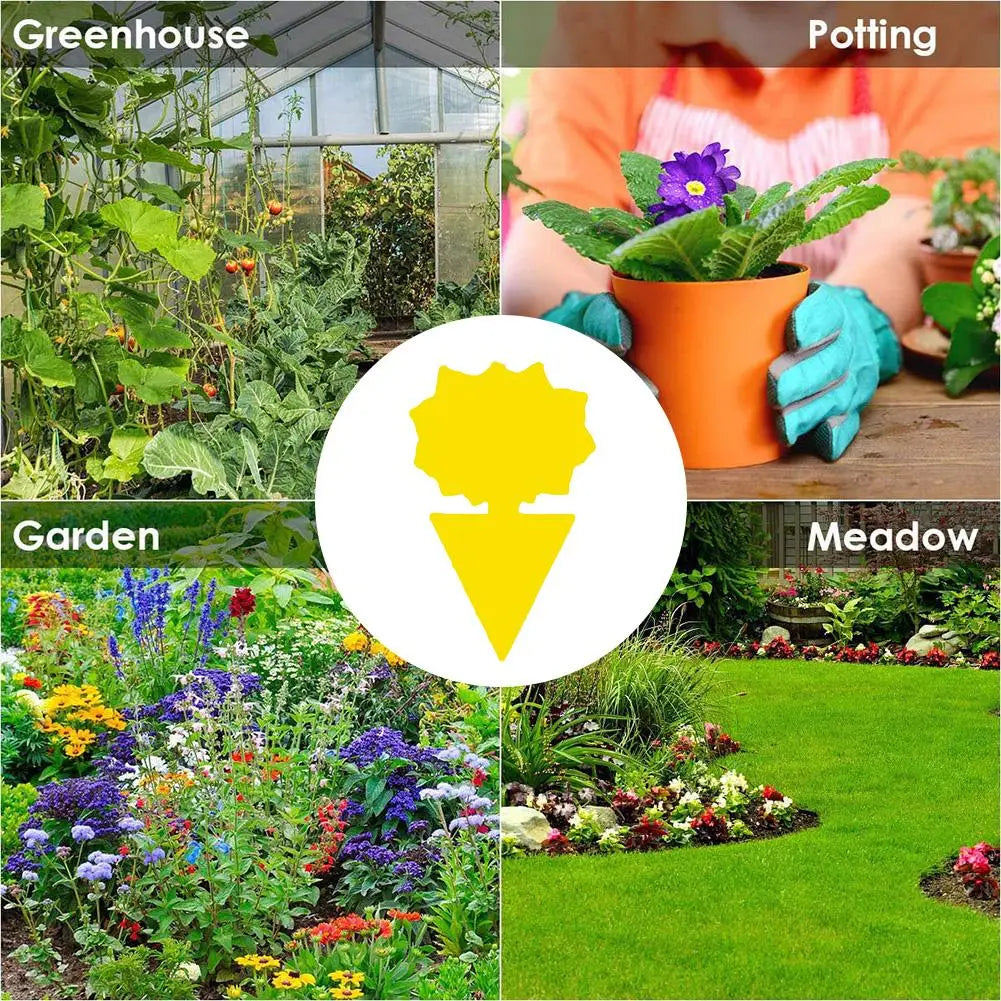 Yellow Dual-Sided Sticky Traps