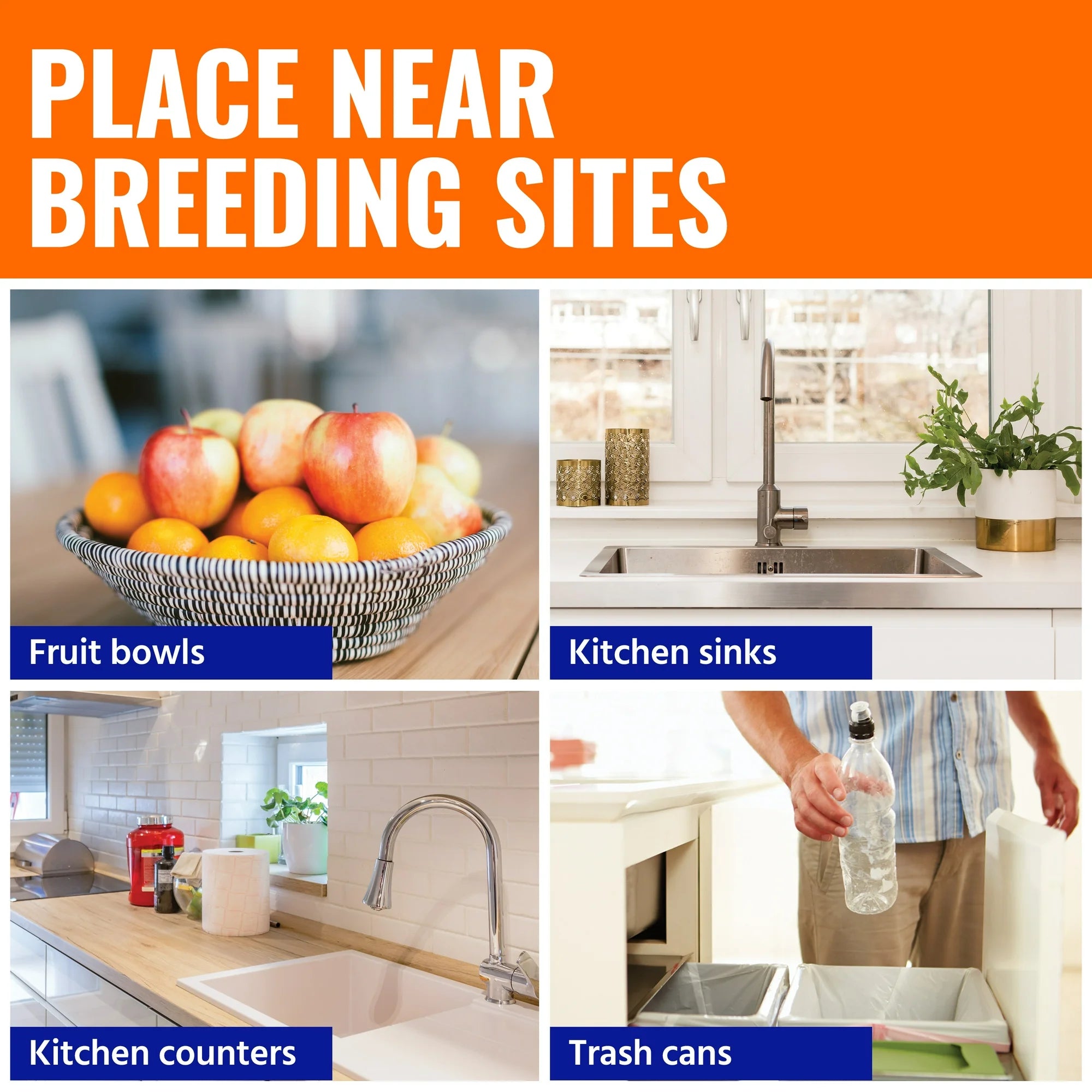 Reusable Fruit Fly Trap